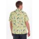 Camisa guayabera tiburon
