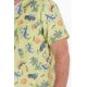 Camisa guayabera tiburon