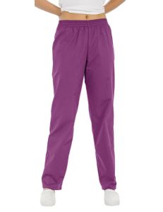 pantalon unisex sanidad, estetica y comercio violeta dyneke