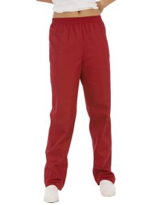 pantalon unisex burdeos sanidad, estetica y comercio dyneke